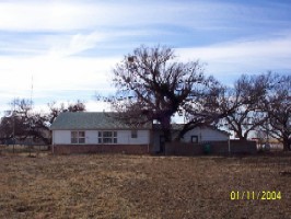 Back of house - Facing south